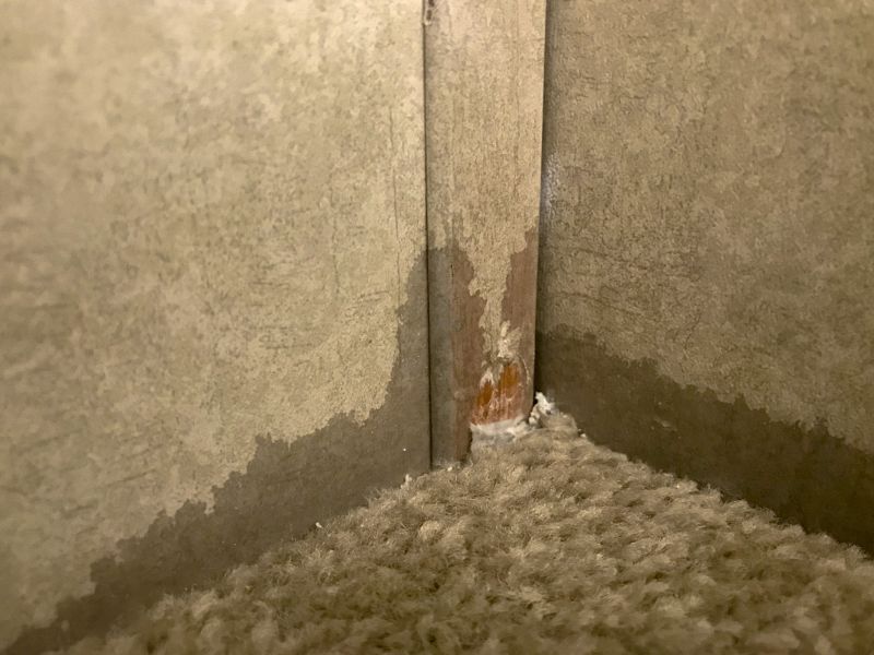 Basement Carpet Repair in Olathe, KS