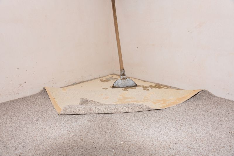Basement Carpet Repair in Denver County, CO