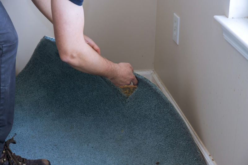 Basement Carpet Stretching in Somerset County, NJ